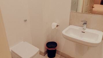 A small bathroom with a toilet, bidet, sink, and a mirror.