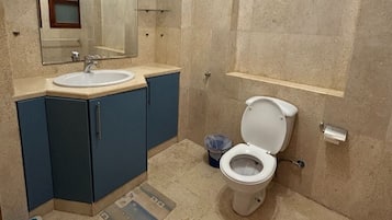 Douche, serviettes fournies, savon, papier de toilette