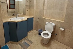 Shower, towels, soap, toilet paper