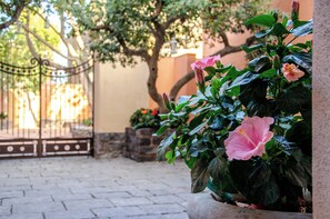 Garden - Palazzo Fiammingo Rooms (Belpasso)