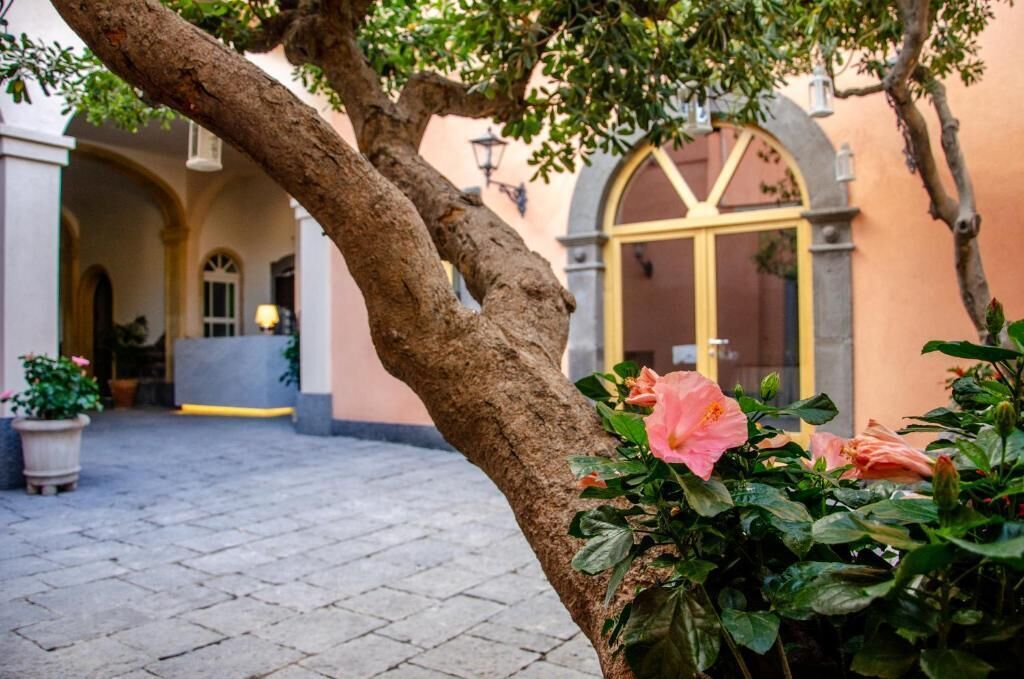 A courtyard with a tree, potted plants, and a building with arches and a window.