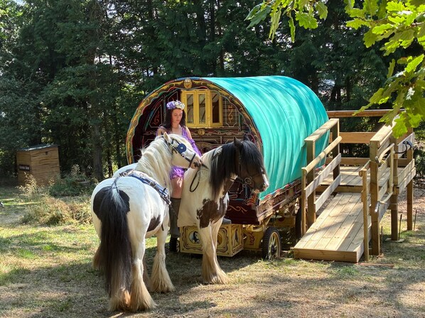 Miscellaneous - 2 Guests - Pet Friendly - Traditional Gypsy Vardo (Longhope)