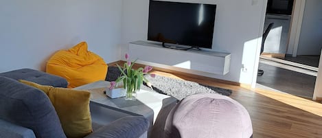 Télévision