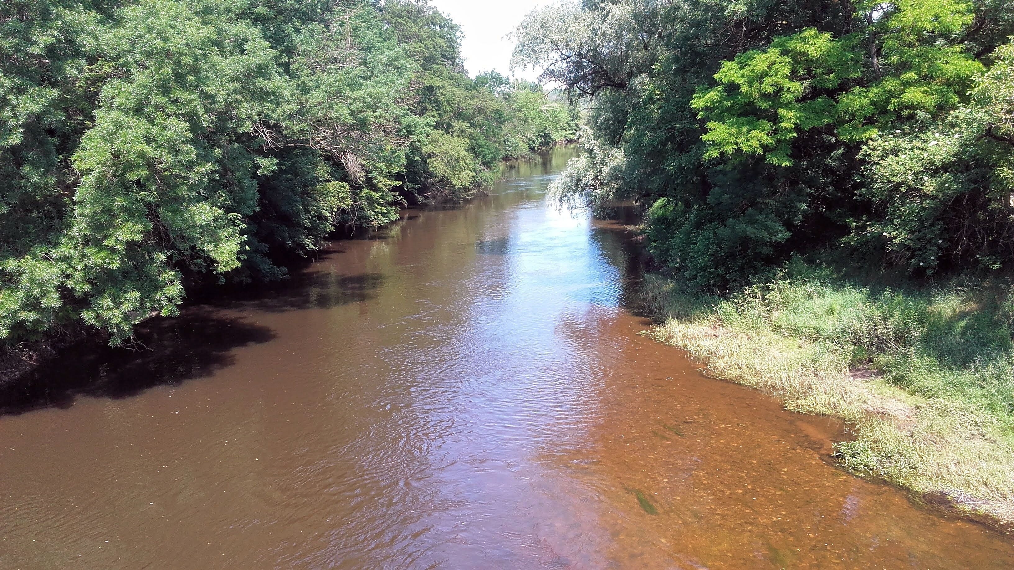 A river surrounded by dense green foliage.