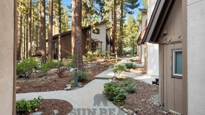 Un quartier résidentiel avec un sentier menant à un bâtiment entouré de grands arbres.