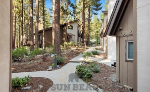 A residential area with a pathway leading to a building surrounded by tall trees. - Cozy 2BR Condo Near Diamond Peak (AT5) (Incline Village)