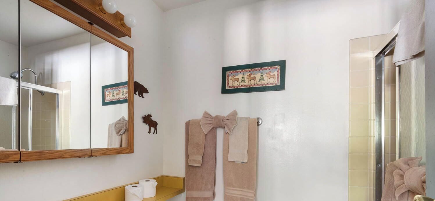 Une salle de bain avec un miroir, deux serviettes, un porte-rouleau de papier toilette et un tableau encadré au mur.
