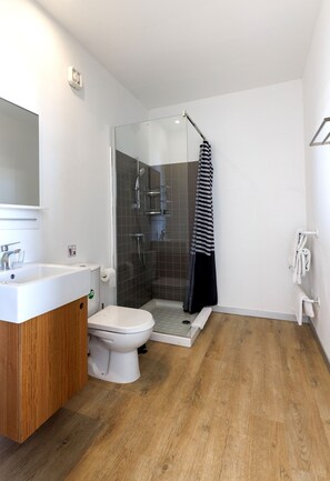 Shower, hair dryer, towels, soap