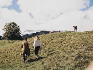 Wandern
