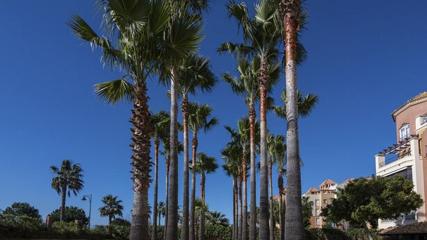 Apartment | Garden - 3-bedroom Penthouse With Terrace (Ayamonte)