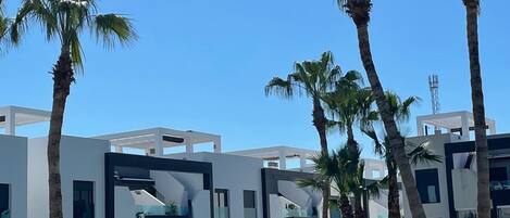 Appartement | Piscine | Piscine extérieure