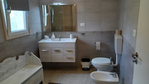Shower, hair dryer, bidet, towels