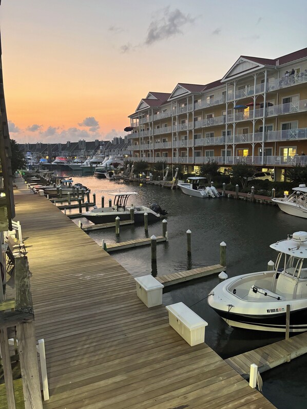 Marina