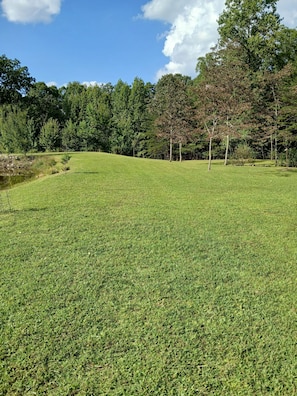 A grassy field with trees and a clear sky. - TWG - Tent Campsite (1) (Graysville)