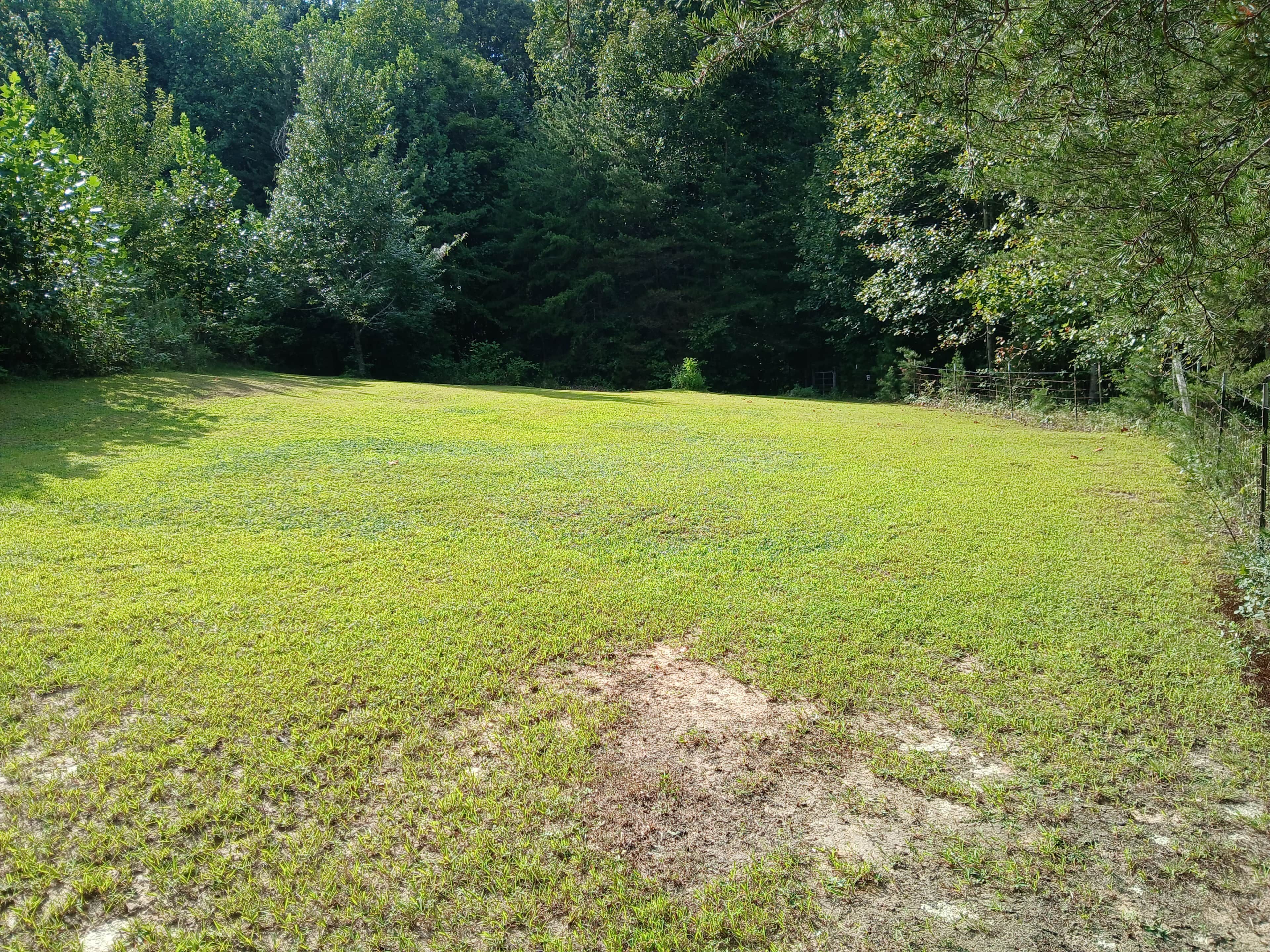 A grassy field with trees in the background.