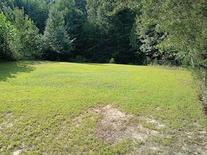 A grassy field with trees in the background. - TWG - Tent Campsite (1) (Graysville)
