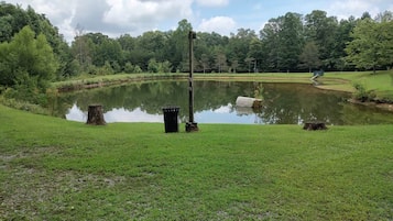 A tranquil pond surrounded by lush greenery and a clear sky.