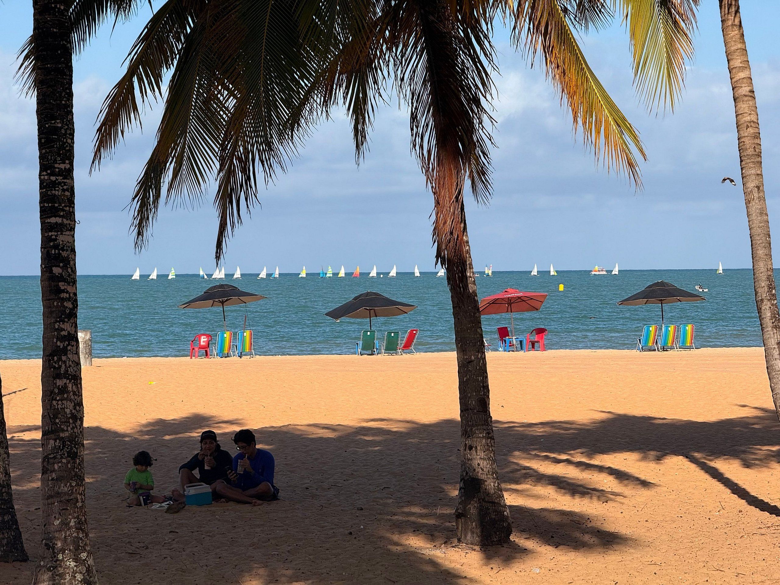 Una playa con palmeras, sillas y sombrillas.