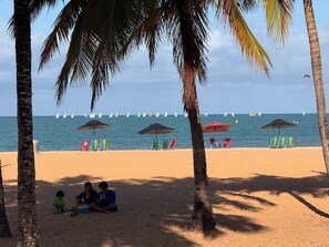 Ein Strand mit Palmen, Liegestühlen und Sonnenschirmen.