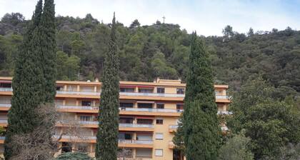 Lovely 1-bedroom studio in Amélie-les-Bains-Palalda