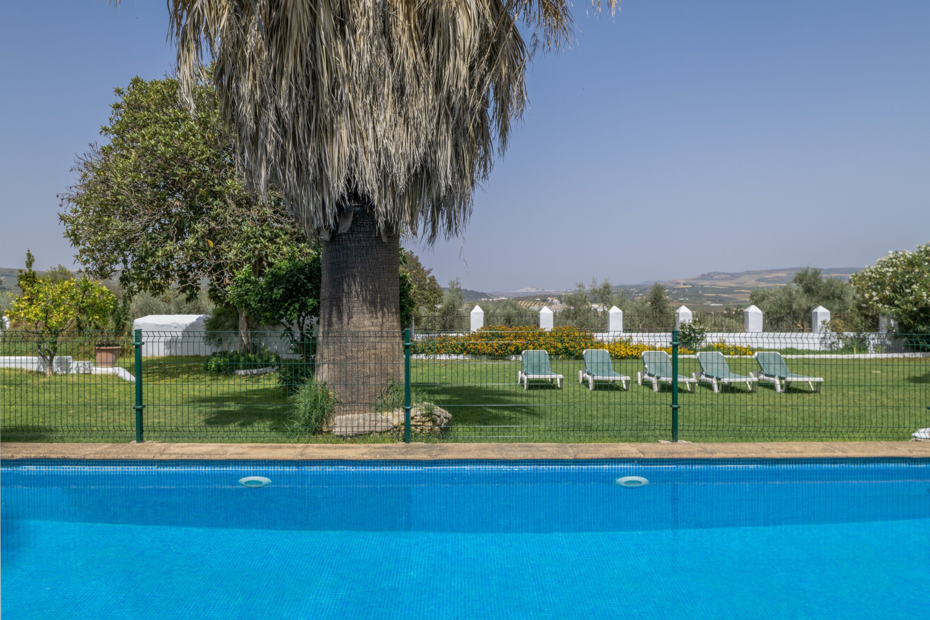 Une piscine entourée d’une clôture, avec des chaises longues et un arbre.