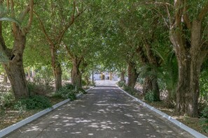 Áreas de la propiedad