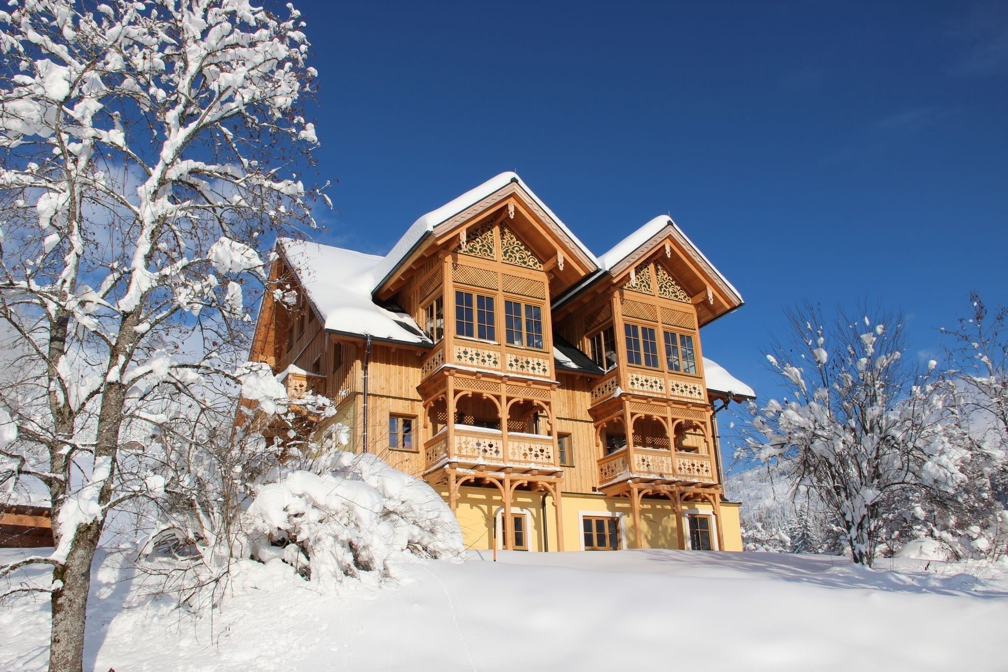 واجهة المنشأة