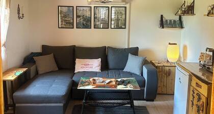 Cottage Home-Vacation Houses in Slatina full experience