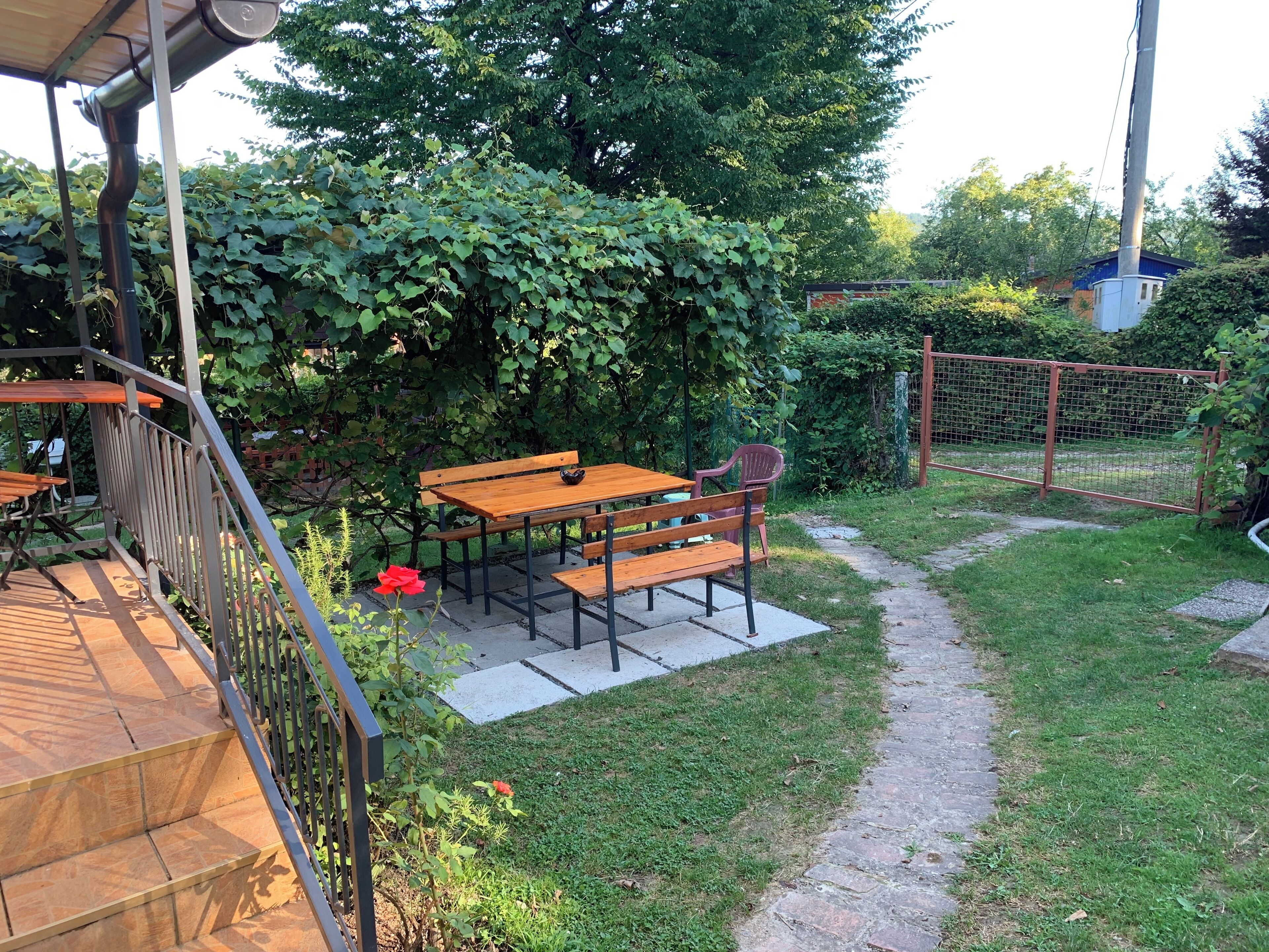 Un espace patio avec une table en bois et des bancs, entouré de verdure et bordé d’un chemin en pierre.