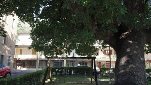 Un cortile con un grande albero, altalene e un edificio sullo sfondo con balconi.