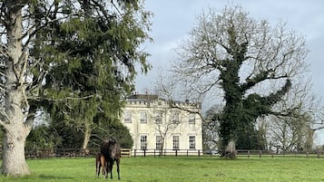 Luksus-lejlighed - eget badeværelse (Main House) | Udendørsområde