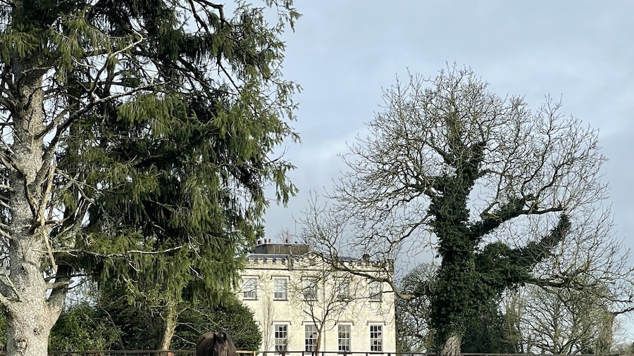 Lismacue House