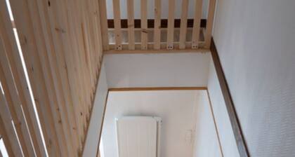 Le Vieux Langres" historical center