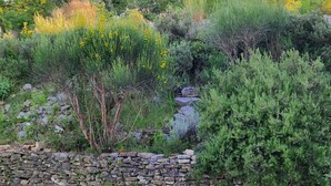 A stone wall with various green shrubs and yellow flowering plants. - EXCEPTIONAL VIEW of Mt. Ventoux, between the Ardèche Gorges and the Cèze Valley (Salazac)