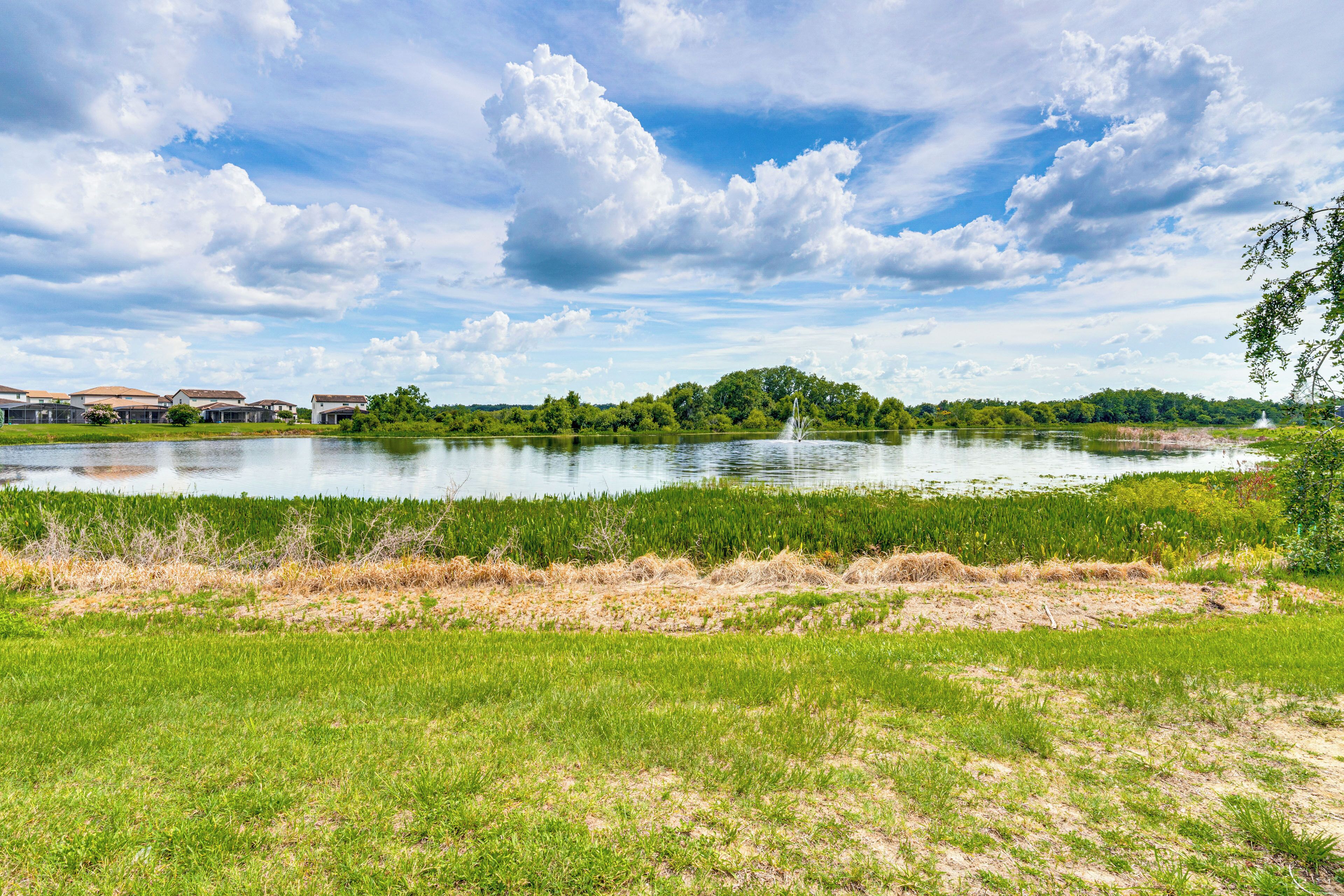 A serene lakeside view with a grassy foreground, a clear sky, and distant trees.