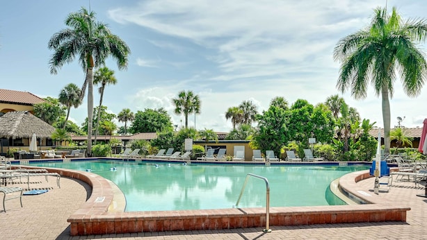 A swimming pool with lounge chairs and palm trees. - Marina, Heated Pool & Game Room: Naples Condo! (Naples)