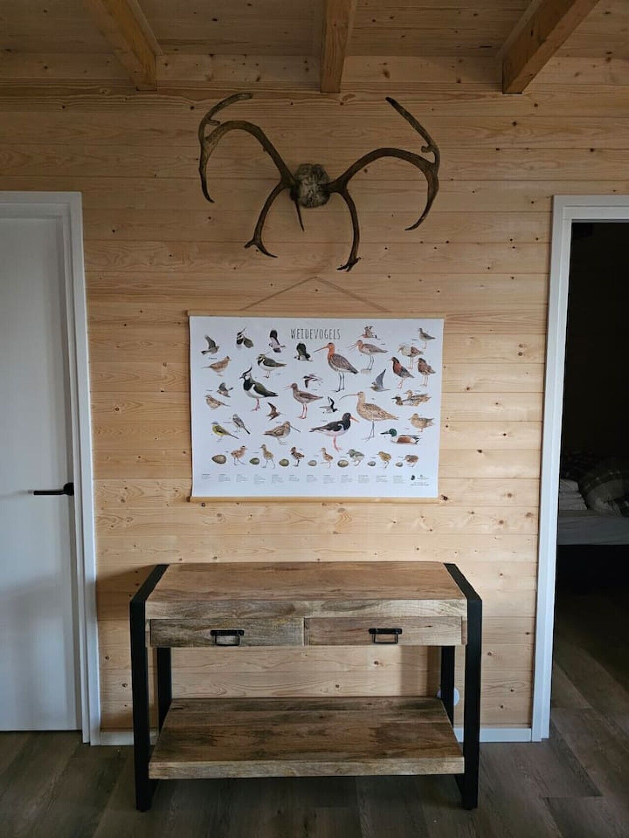 A wooden wall with a mounted antler and a poster of birds.