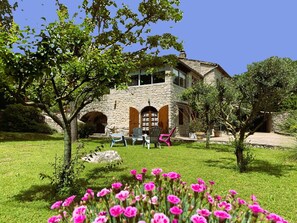 Terassi/patio