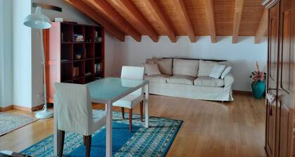 Room in attic penthouse with terrace