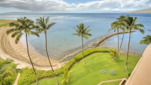 A beachfront property with a grassy lawn, palm trees, and a view of the ocean.