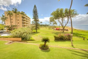 Property grounds - Hotel-zoned Oceanfront Comfort on a Budget 2bed 2ba condo - NEW LISTING! (Kihei)