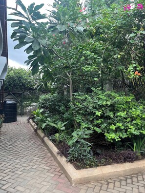 Shared Dormitory, 5 Bedrooms, Smoking, Balcony | Garden