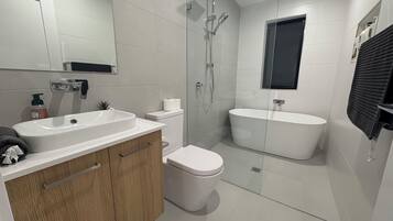 Hair dryer, towels, soap, toilet paper