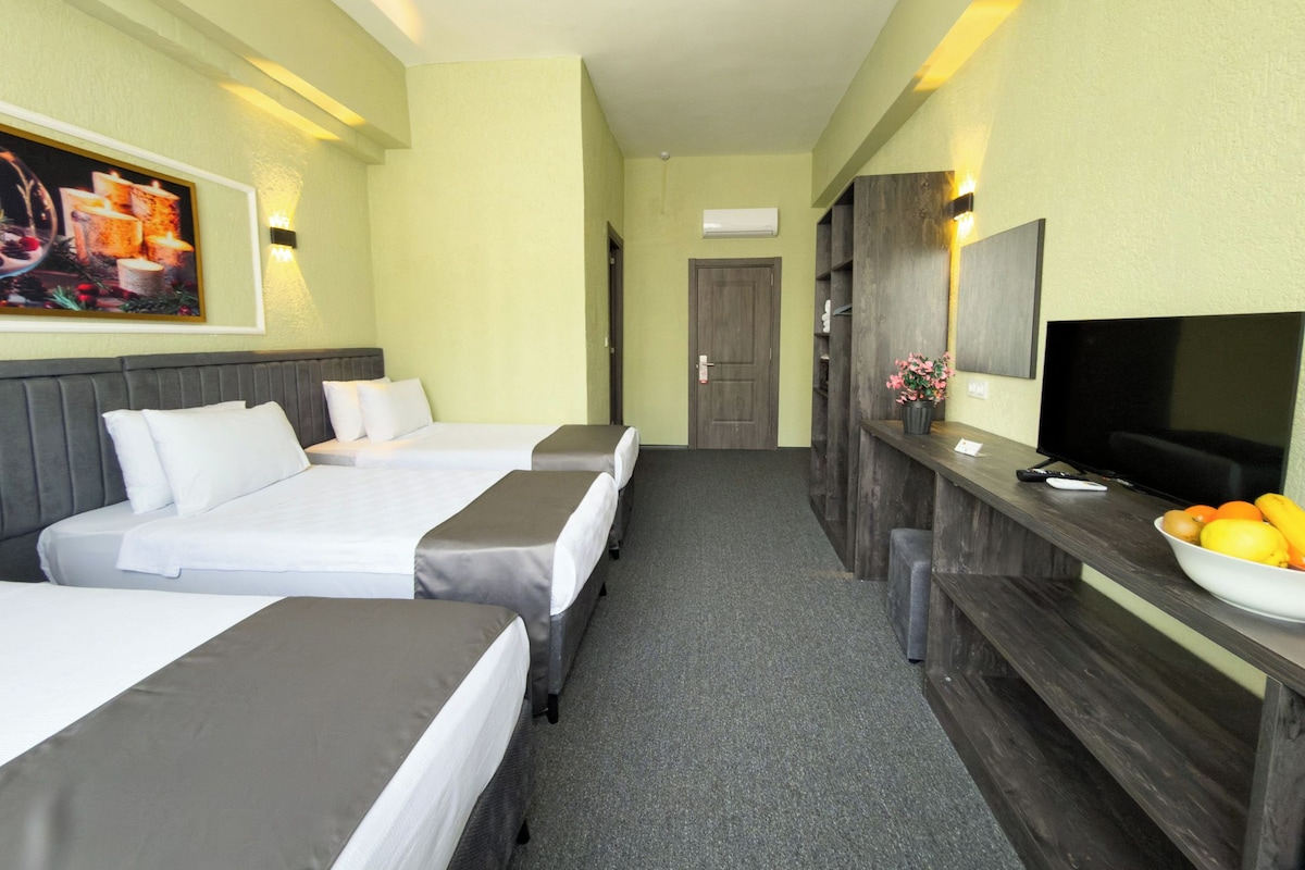 Habitación de hotel con dos camas, un escritorio con un cuenco de fruta, un televisor y un cuadro en la pared.