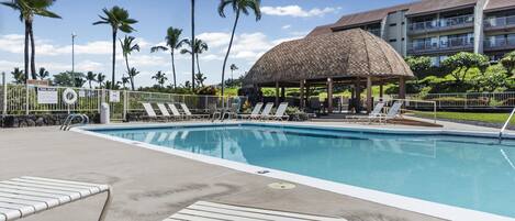 A swimming pool with lounge chairs, a thatched-roof gazebo, palm trees, and a multi-story building in the background.