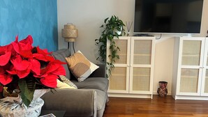 Un salon avec un canapé gris, un téléviseur posé sur un meuble blanc, une plante en pot et un panier en osier.