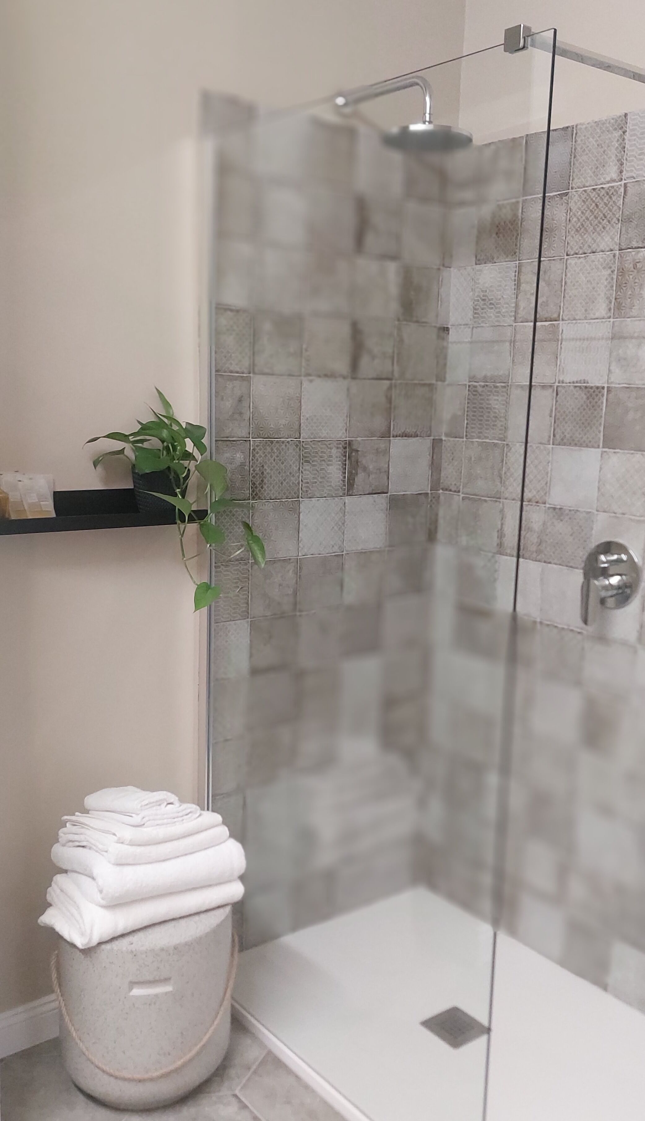 Dusche, Haartrockner, Bidet, Handtücher
