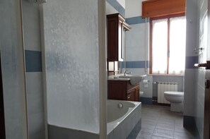Shower, hair dryer, bidet, towels