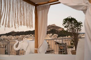 Rooftop terrace