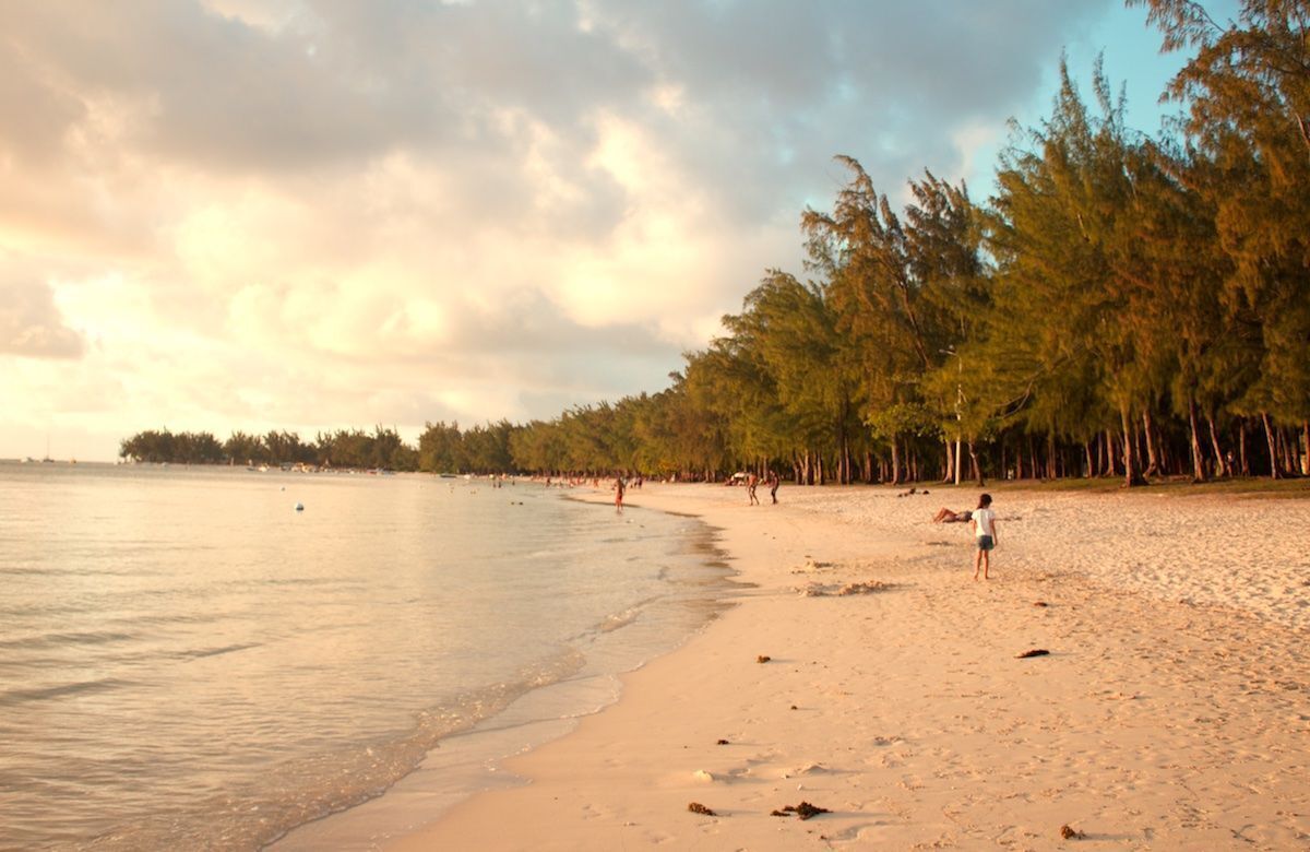 Ein Strand mit sandigem Ufer, Bäumen und dem Meer.